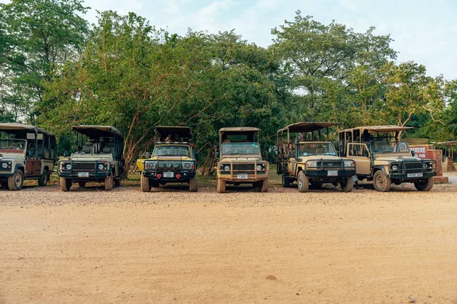 Line of 4x4 safari vehicles parked on a dirt road